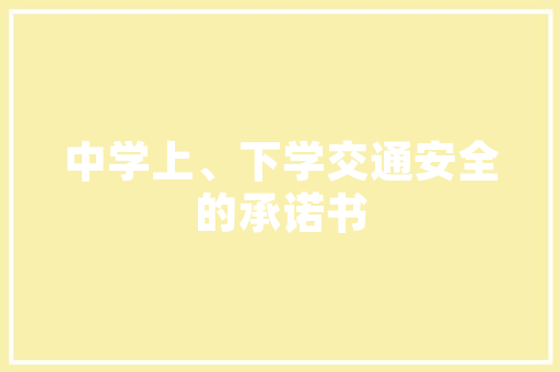 SEO优化误区与作弊坚守诚信，共创美好网络生态