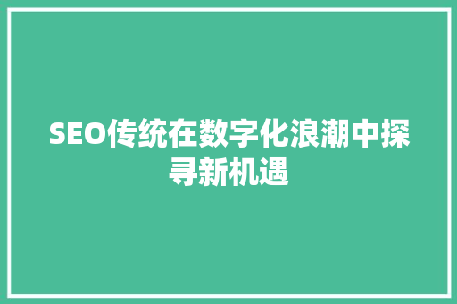 SEO传统在数字化浪潮中探寻新机遇