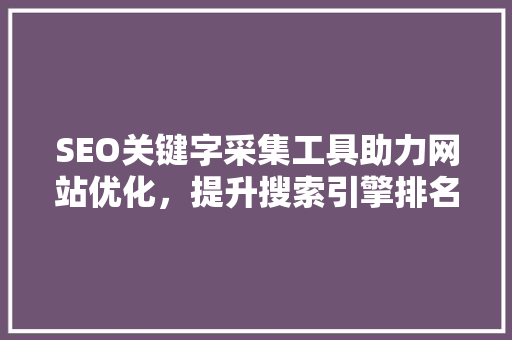 SEO关键字采集工具助力网站优化，提升搜索引擎排名