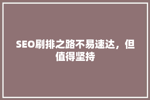 SEO刷排之路不易速达，但值得坚持