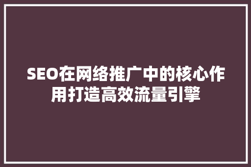 SEO在网络推广中的核心作用打造高效流量引擎