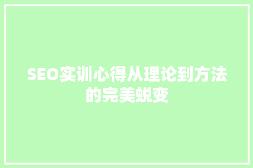 SEO实训心得从理论到方法的完美蜕变