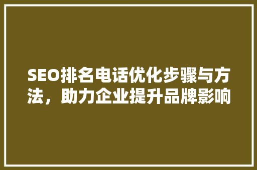 SEO排名电话优化步骤与方法，助力企业提升品牌影响力
