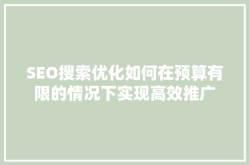 SEO搜索优化如何在预算有限的情况下实现高效推广