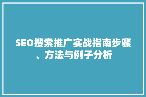 SEO搜索推广实战指南步骤、方法与例子分析