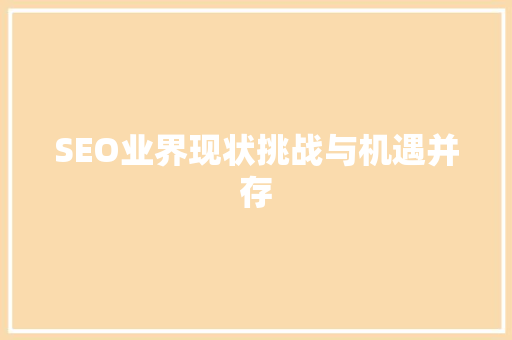 SEO业界现状挑战与机遇并存