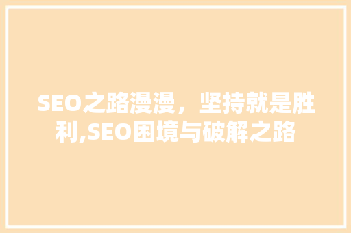 SEO之路漫漫，坚持就是胜利,SEO困境与破解之路
