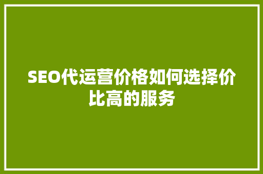SEO代运营价格如何选择价比高的服务  第1张