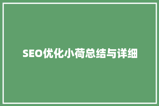 SEO优化小荷总结与详细