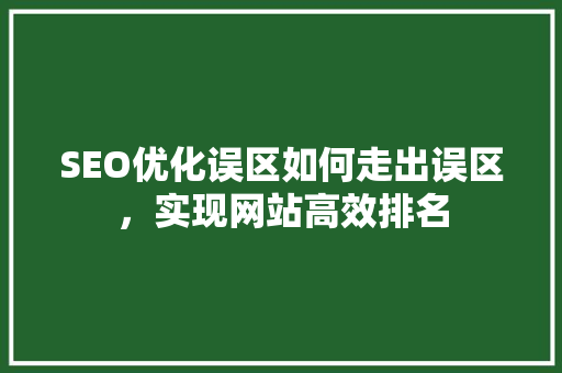 SEO优化误区如何走出误区，实现网站高效排名