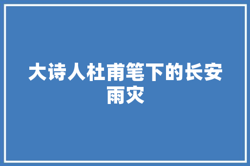 SEO婚纱摄影站内优化提升网站排名，吸引更多顾客