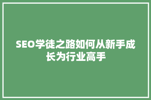 SEO学徒之路如何从新手成长为行业高手  第1张