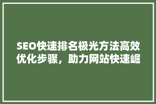 SEO快速排名极光方法高效优化步骤，助力网站快速崛起