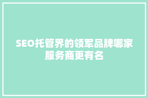 SEO托管界的领军品牌哪家服务商更有名