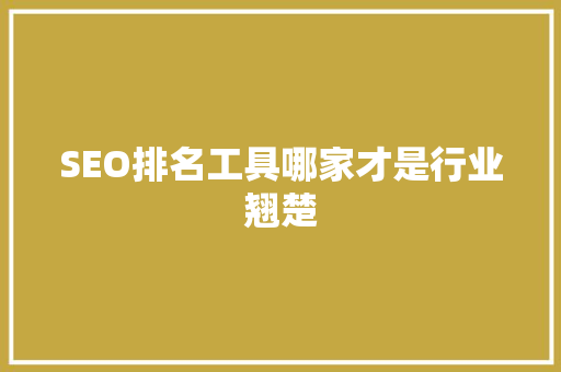 SEO排名工具哪家才是行业翘楚