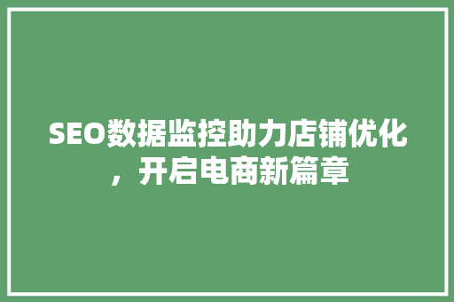 SEO数据监控助力店铺优化，开启电商新篇章