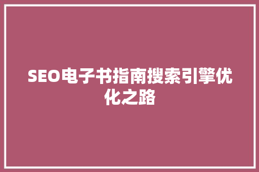 SEO电子书指南搜索引擎优化之路