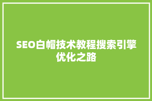 SEO白帽技术教程搜索引擎优化之路