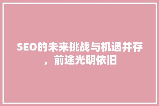 SEO的未来挑战与机遇并存，前途光明依旧