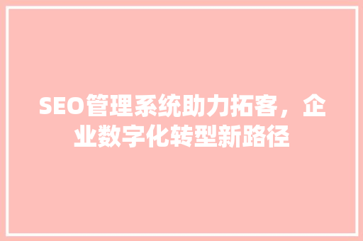 SEO管理系统助力拓客，企业数字化转型新路径