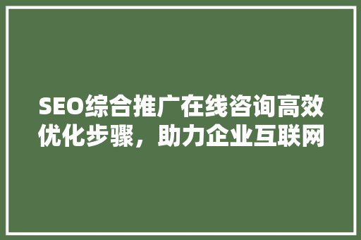 SEO综合推广在线咨询高效优化步骤，助力企业互联网营销