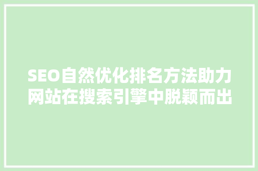 SEO自然优化排名方法助力网站在搜索引擎中脱颖而出
