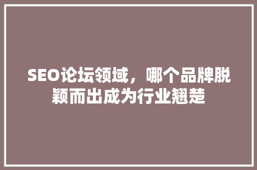 SEO论坛领域，哪个品牌脱颖而出成为行业翘楚