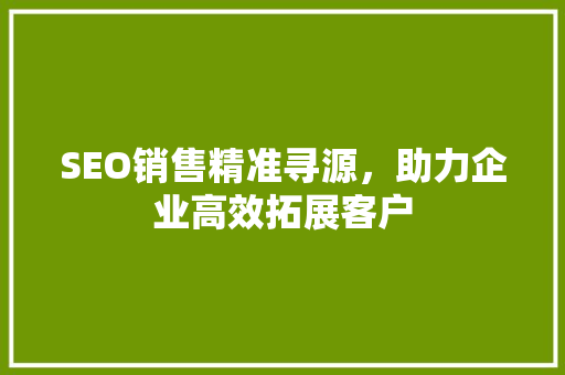 SEO销售精准寻源，助力企业高效拓展客户