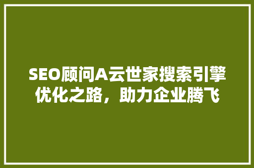 SEO顾问A云世家搜索引擎优化之路，助力企业腾飞