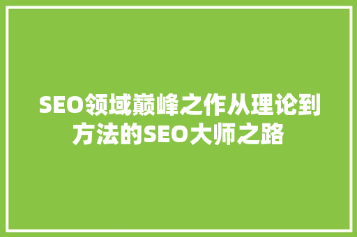 SEO领域巅峰之作从理论到方法的SEO大师之路