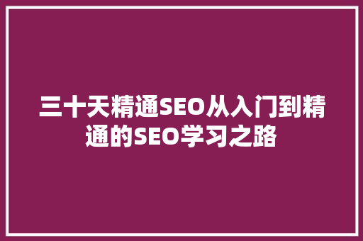 三十天精通SEO从入门到精通的SEO学习之路