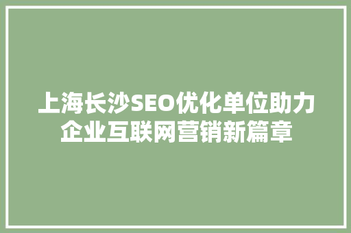 上海长沙SEO优化单位助力企业互联网营销新篇章