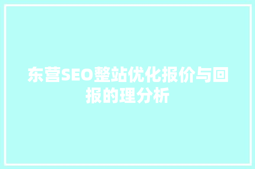 东营SEO整站优化报价与回报的理分析