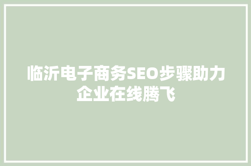 临沂电子商务SEO步骤助力企业在线腾飞