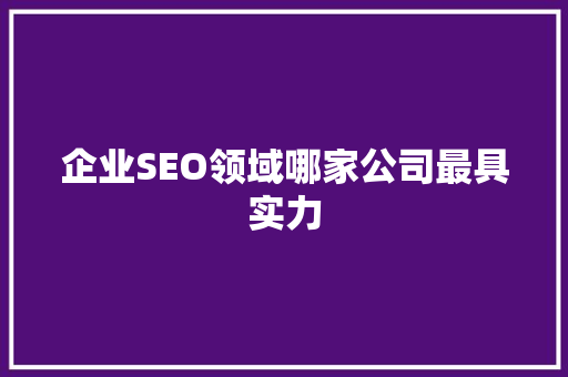 企业SEO领域哪家公司最具实力