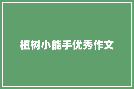 H1大号代码未来互联网技术发展的新引擎
