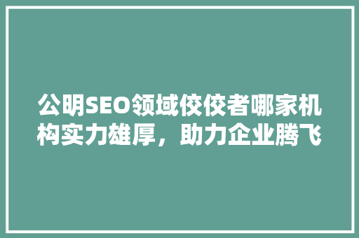 公明SEO领域佼佼者哪家机构实力雄厚，助力企业腾飞