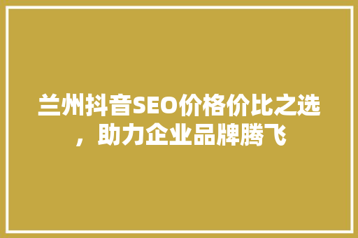 兰州抖音SEO价格价比之选，助力企业品牌腾飞