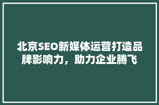 北京SEO新媒体运营打造品牌影响力，助力企业腾飞