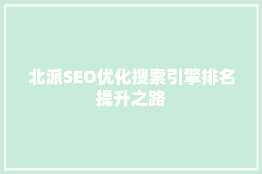 北派SEO优化搜索引擎排名提升之路