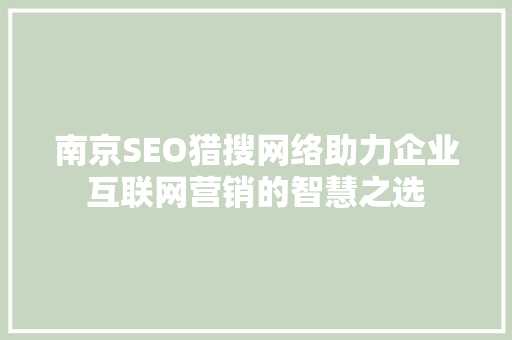 南京SEO猎搜网络助力企业互联网营销的智慧之选