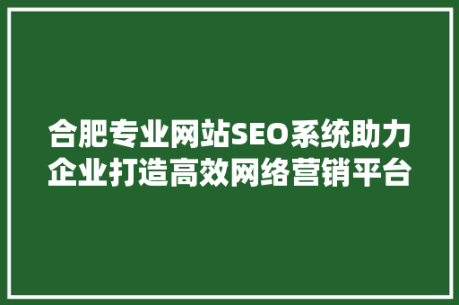 合肥专业网站SEO系统助力企业打造高效网络营销平台