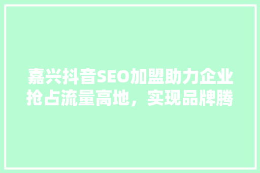 嘉兴抖音SEO加盟助力企业抢占流量高地，实现品牌腾飞