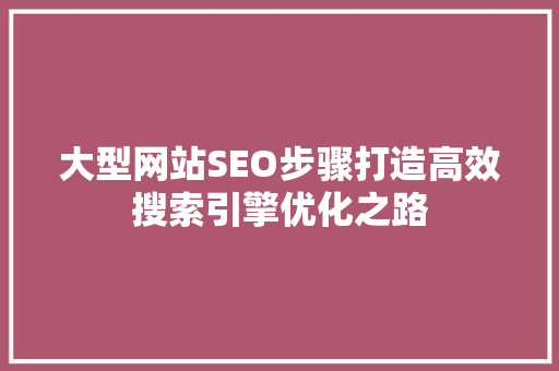 大型网站SEO步骤打造高效搜索引擎优化之路