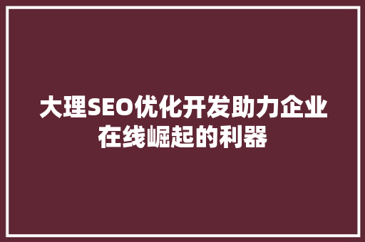 大理SEO优化开发助力企业在线崛起的利器