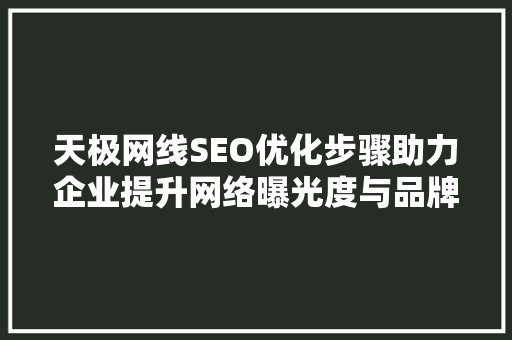 天极网线SEO优化步骤助力企业提升网络曝光度与品牌影响力