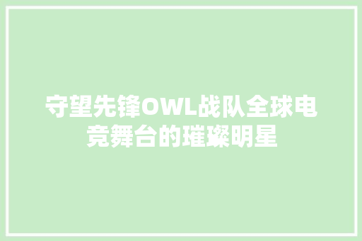 守望先锋OWL战队全球电竞舞台的璀璨明星