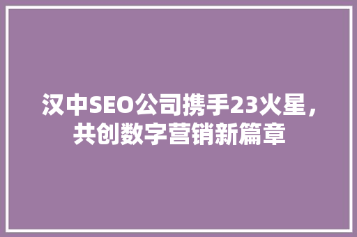 汉中SEO公司携手23火星，共创数字营销新篇章