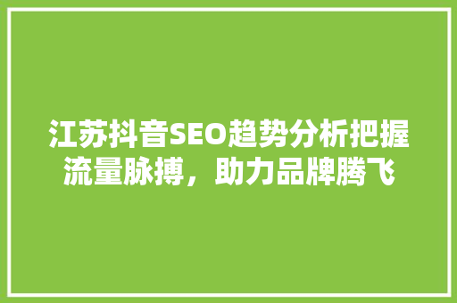 江苏抖音SEO趋势分析把握流量脉搏，助力品牌腾飞