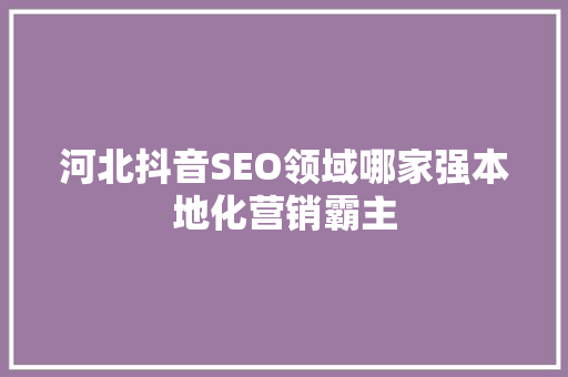 河北抖音SEO领域哪家强本地化营销霸主